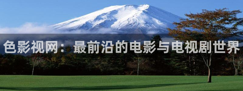 久久理论片琪琪电影院