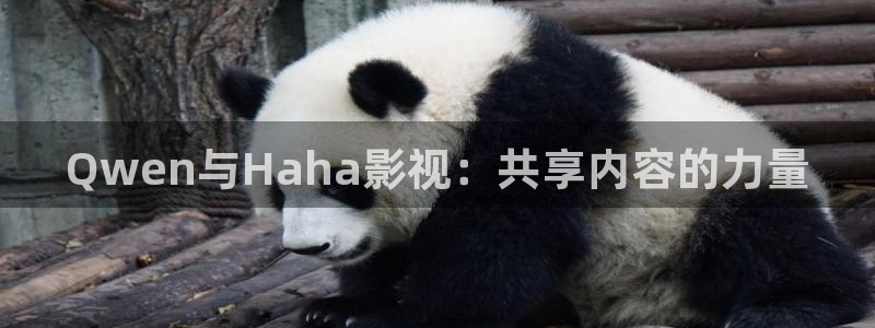 琪琪影院网：Qwen与Haha影视：共享内容的力量