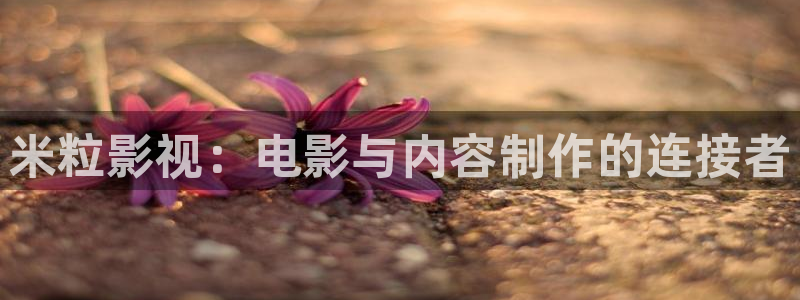 琪琪影院 伦理：米粒影视：电影与内容制作的连接者